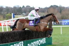 Faugheen 020220PML0689.jpg