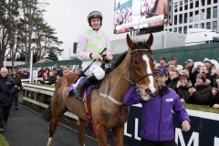 Faugheen 020220PML0718.jpg