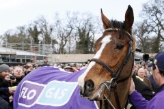 Faugheen 020220PML0721.jpg