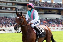 Frankel-PML00156140