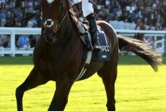 Frankel-PML 00166570.jpg