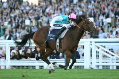 Frankel-PML 00166595.jpg