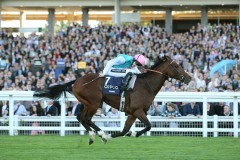 Frankel-PML 00166603.jpg