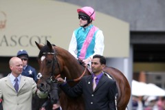 Frankel PML00188393.jpg