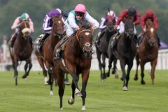 Frankel PML00188417.jpg