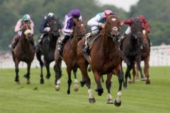 Frankel PML00188424.jpg