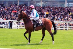 Frankel-PML 00188464.jpg