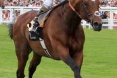 Frankel PML00188471.jpg