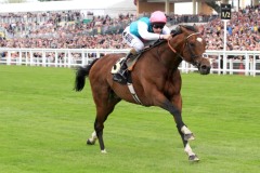 Frankel PML00188474.jpg