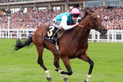 Frankel PML00188476.jpg