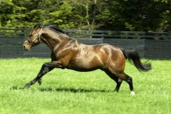 Galileo PML0037281.jpg