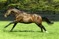 Galileo PML 0037284.jpg