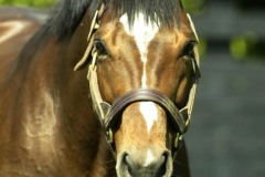 Galileo PML 0037336.jpg