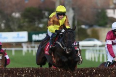 Galopin Des Champs 060222PML0704.jpg