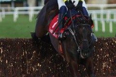 Galopin Des Champs 060222PML0706.jpg