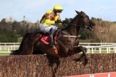 Galopin Des Champs 060222PML0712.jpg