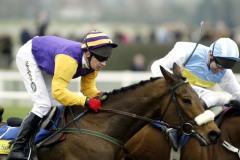 Harchibald PML0001329.jpg