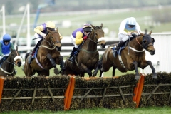 Hardy Eustace PML0001321jpg