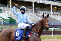 Honeysuckle 060221PML0262.jpg