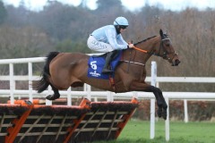 Honeysuckle 060222PML0788.jpg