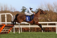 Honeysuckle 060222PML0796.jpg