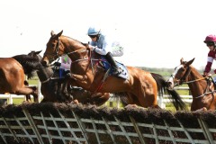 Honeysuckle 210419PML0225.jpg