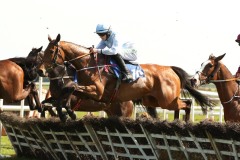 Honeysuckle 210419PML0226.jpg