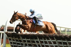 Honeysuckle 210419PML0231.jpg