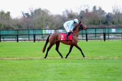 Honeysuckle 281121PML0550.jpg