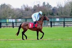 Honeysuckle 281121PML0552.jpg