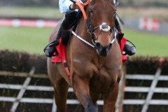 Honeysuckle 281121PML0592.jpg