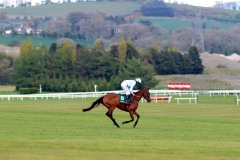 Honeysuckle 300421PML0572.jpg