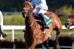 Honeysuckle 300421PML0577.jpg