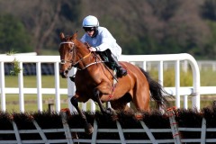 Honeysuckle 300421PML0614.jpg