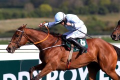 Honeysuckle 300421PML0636.jpg