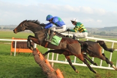 Hurricane Fly 161114PML0522.jpg