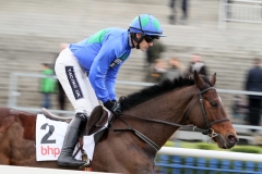 Hurricane Fly 250115PML0574.jpg