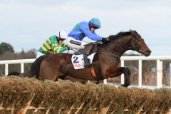 Hurricane Fly 250115PML0599.jpg