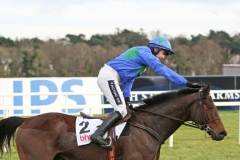 Hurricane Fly 250115PML0614.jpg