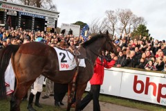 Hurricane Fly 250115PML0623.jpg