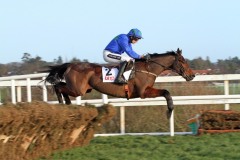 Hurricane Fly 260114PML0371.jpg