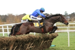 Hurricane Fly 291213PML0654.jpg