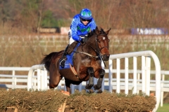 Hurricane Fly PML 00115785.jpg