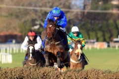 Hurricane Fly PML 00115800.jpg