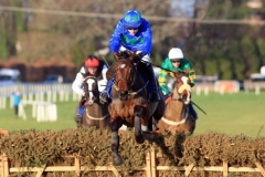 Hurricane Fly PML 00115801.jpg