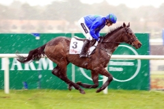 Hurricane Fly PML00117174.jpg