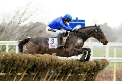 Hurricane Fly PML00117181.jpg