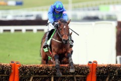 Hurricane Fly PML00119321.jpg