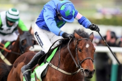 Hurricane Fly PML00119342.jpg