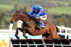 Hurricane Fly PML00123972.jpg